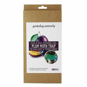 Plum Moth Refill