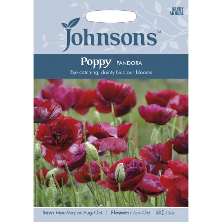 POPPY Pandora Seeds - image 1