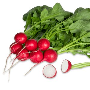 Radish Crunchy King F1 Seeds