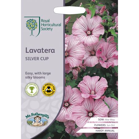 RHS LAVATERA Silver Cup Seeds - image 1