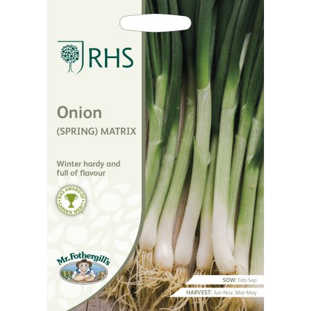 RHS ONION (Spring) Matrix Seeds - image 1