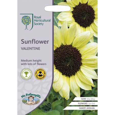 RHS SUNFLOWER Valentine Seeds - image 1