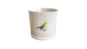 Robin Indoor Pot 16cm