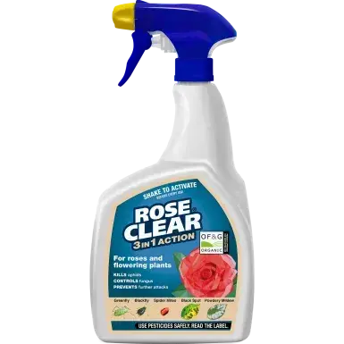 Roseclear 3 in 1 Rtu 800ml - image 1