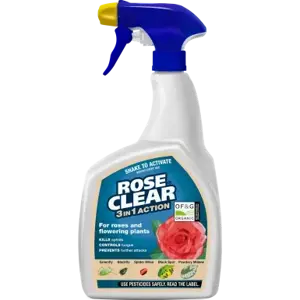 Roseclear 3 in 1 Rtu 800ml - image 1