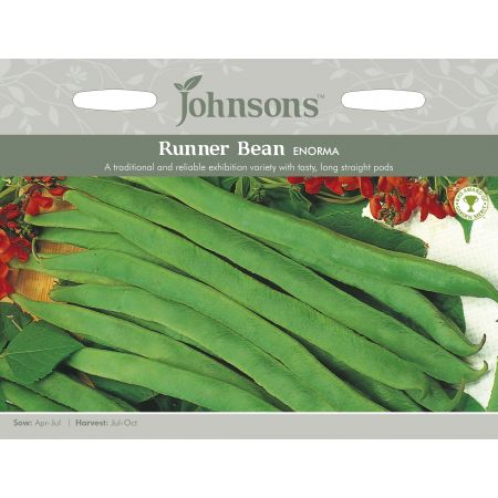 RUNNER BEAN Enorma Seeds - image 1