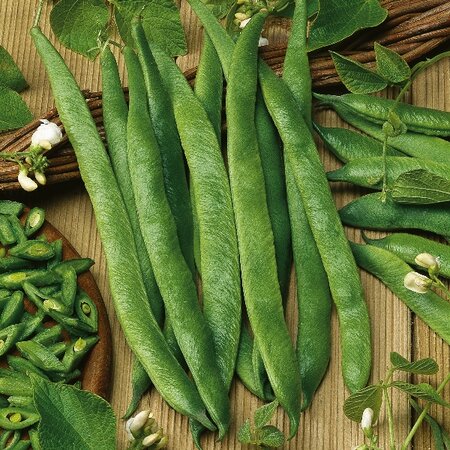 Runner Bean White Lady Seeds