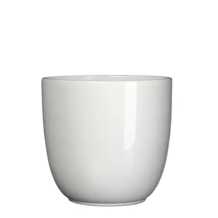 Siena Pot Gloss White 12cm