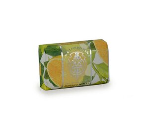 Soap La Florentina Citrus di Bobili