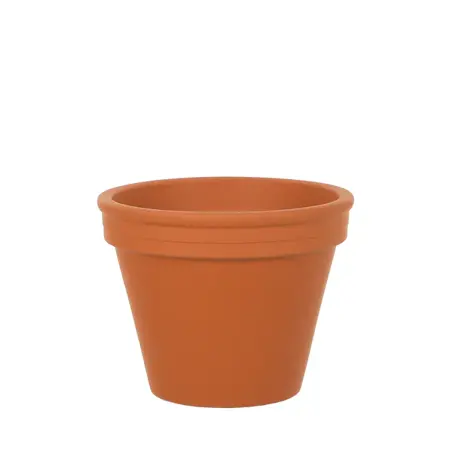 Spang Terracotta Pot 11"