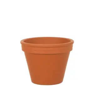 Spang Terracotta Pot 11"