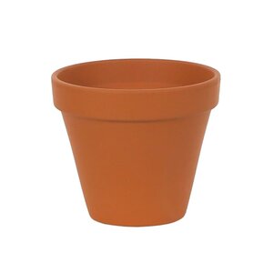 Spang Terracotta Pot 5"