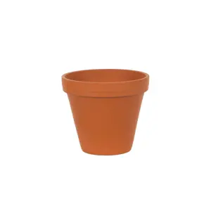 Spang Terracotta Pot 8"