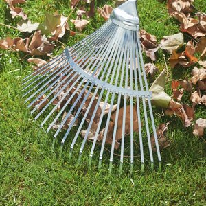 Springtine Rake 50cm Multi-change Wolf - image 2