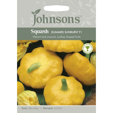 SQUASH (Summer) Sunburst F1 Seeds - image 1