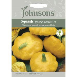 SQUASH (Summer) Sunburst F1 Seeds - image 1