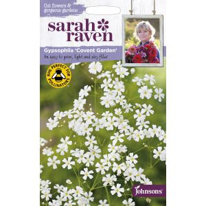 Sarah Raven GYPSOPHILA Covent Garden Seeds - image 1