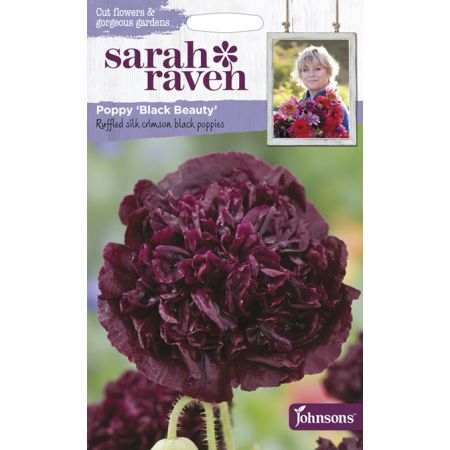 Sarah Raven POPPY Black Beauty Seeds - image 1