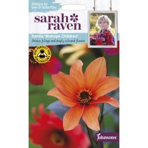 Sarah Raven DAHLIA Bishops Children Seeds - image 1