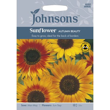 SUNFLOWER Autumn Beauty Seeds - image 1