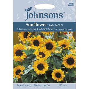 SUNFLOWER Baby Face F1 Seeds - image 1