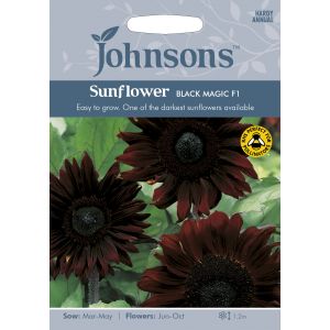 SUNFLOWER Black Magic F1 Seeds - image 1