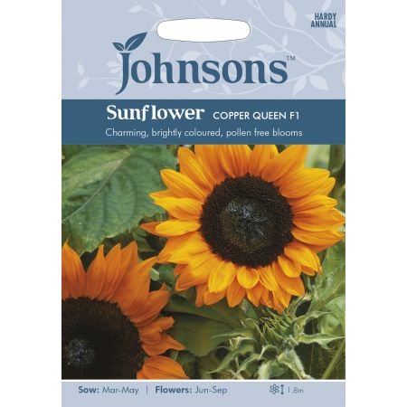 SUNFLOWER Copper Queen F1 Seeds - image 1