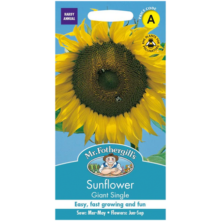 SUNFLOWER Giant Single