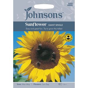 Sunflower Giant Single Johnsons Seeds