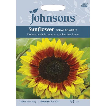 SUNFLOWER Solar Power F1 Seeds - image 1