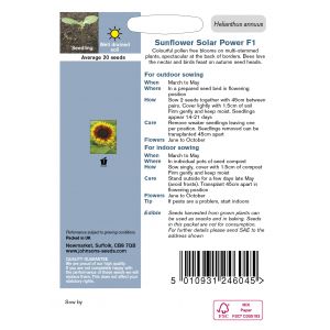 SUNFLOWER Solar Power F1 Seeds - image 2