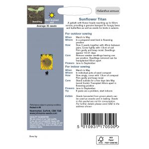 SUNFLOWER Titan Seeds - image 2