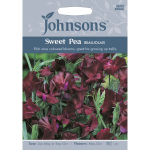 SWEET PEA Beaujolais Seeds - image 1