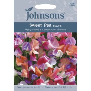 SWEET PEA Beeline Seeds - image 1