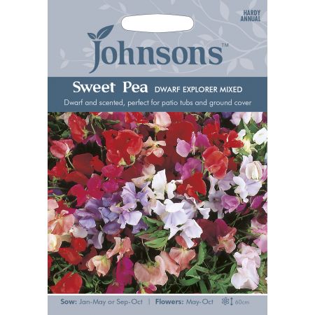 SWEET PEA Dwarf Explorer Mixed Seeds - image 1