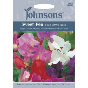 SWEET PEA Giant Waved Mixed Seeds - image 1