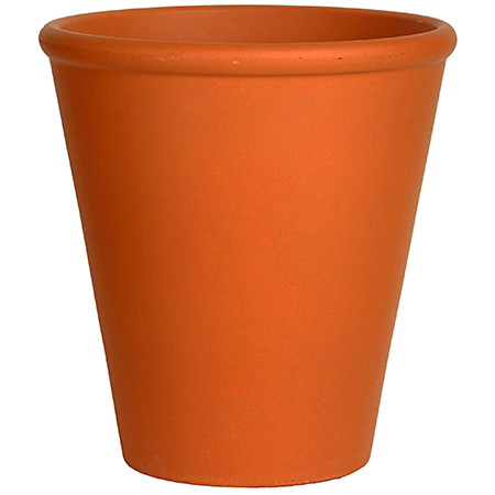 Terracotta Pot with Rim 12cm