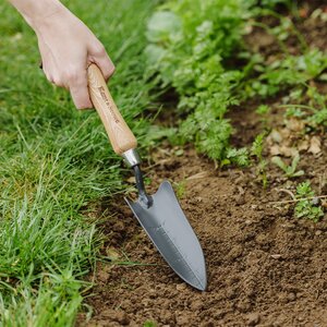 Transplanting Trowel Carbon Steel - image 2