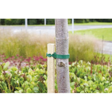 Tree Ties 35cm Pack of 2 - image 2