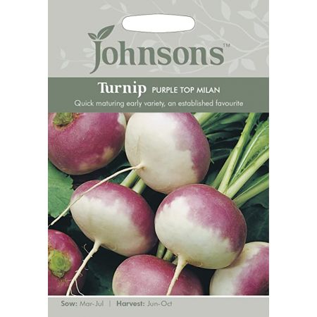 TURNIP Purple Top Milan Seeds