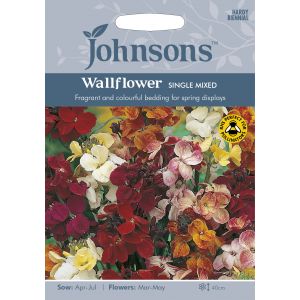 WALLFLOWER Single Mixed Seeds - image 1