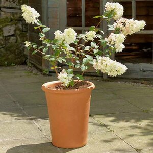 Yorkshire Tall Flowerpot - image 2